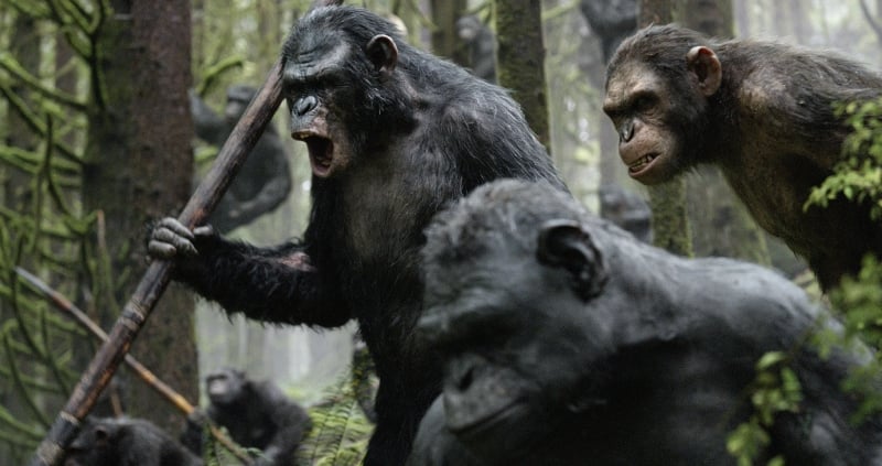Dawn of the Planet of the Apes