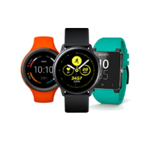 Other Wearables