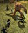 sp101268062961966.jpg
