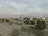 sp101331142982752.jpg