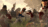 sp101347334485932.jpg
