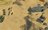 sp101351332986852.jpg