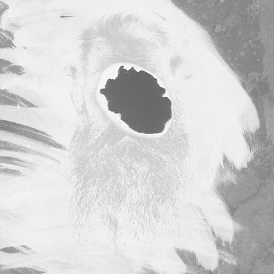 mus000463034.jpg