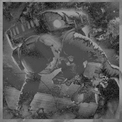 mus000358505.jpg