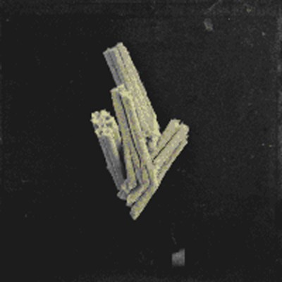 mus000391539.jpg