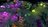 dungeonsii424898.jpg