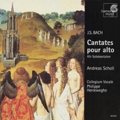 Johann Sebastian Bach - J.S. Bach: Cantatas for Solo Alto CD Album - Used