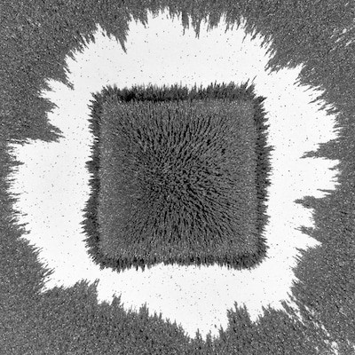 mus000482182.jpg
