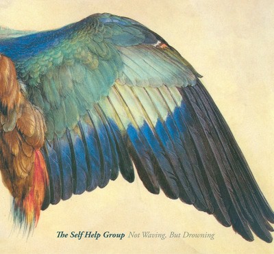 The Self Help Group - Not Waving, But Drowning CD Album - Used