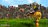 bloodbowl2424165.jpg