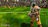 bloodbowl2424165.jpg