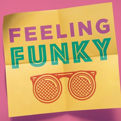 Various Artists - Feeling Funky CD Album - Used
