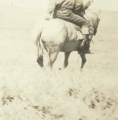 mus000486198.jpg