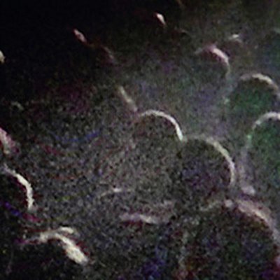 mus000444050.jpg