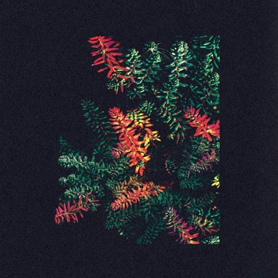 mus000496876.jpg