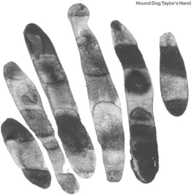 mus000496664.jpg