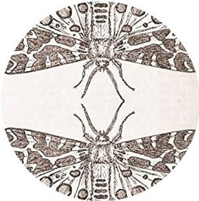 mus000497418.jpg