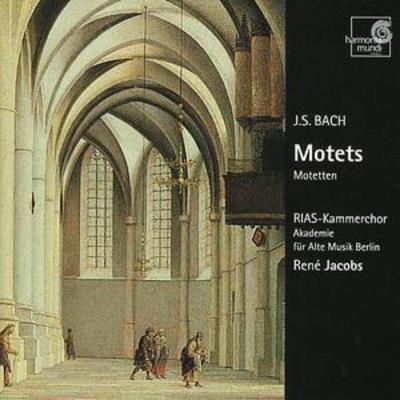 mus000109535.jpg