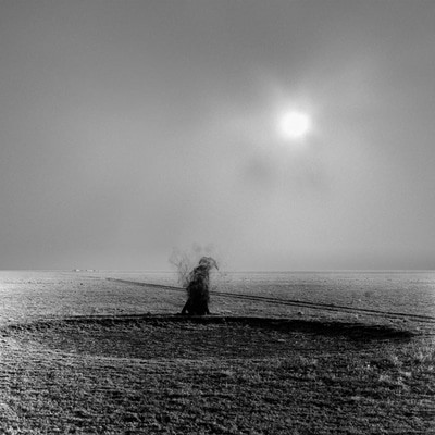 mus000499551.jpg