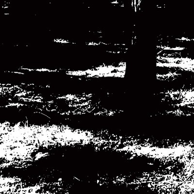 mus000499793.jpg