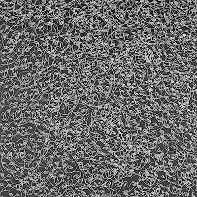 mus000501798.jpg