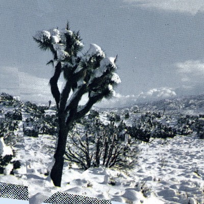 mus000470154.jpg