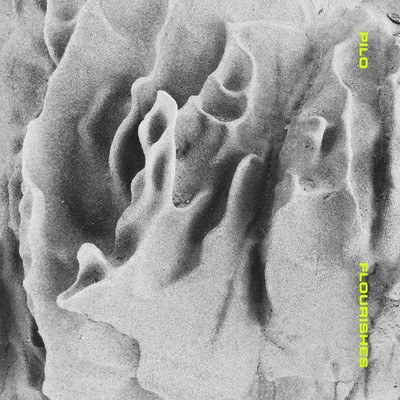 mus000502394.jpg