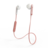 26811_xxl.png