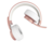26564_xxl.png
