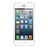 Main_Image.jpg
