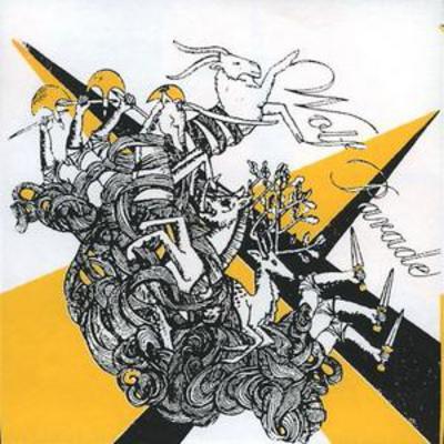 Wolf Parade - 2nd Ep CD Album - Used