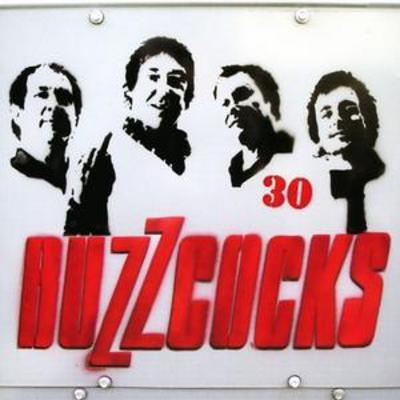 Buzzcocks - 30 CD Album - Used