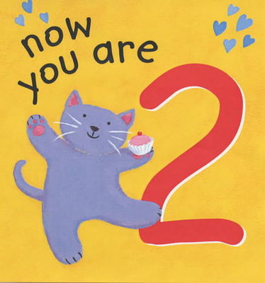 9780745947273.jpg