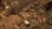 sp101363922990674.jpg