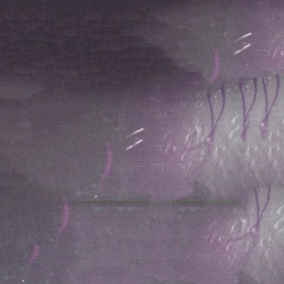 mus000513645.jpg