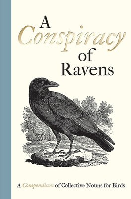 9781851244096.jpg