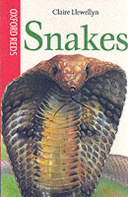 9780199106158.jpg