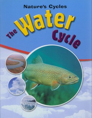 9780750253581.jpg