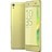 UI000000007709__Lime_Gold__1.jpg