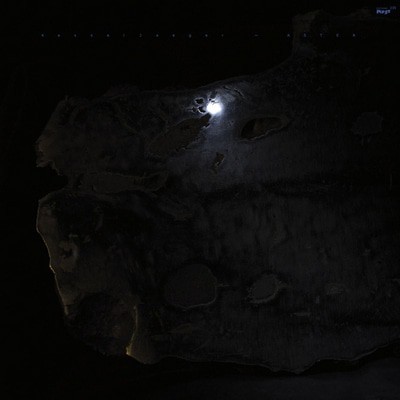 mus000511161.jpg