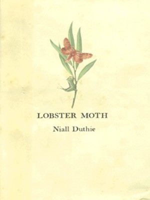 9781841151052.jpg