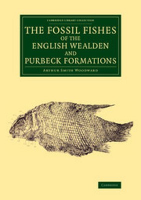 9781108076944.jpg