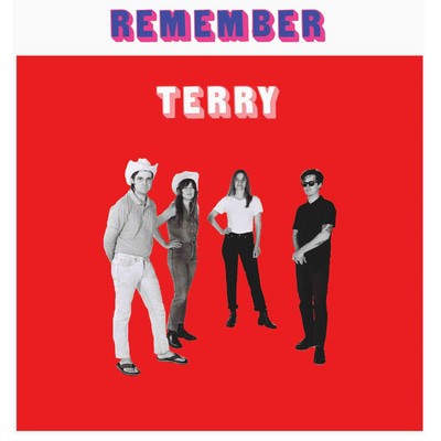 Terry - Remember Terry CD Album - Used
