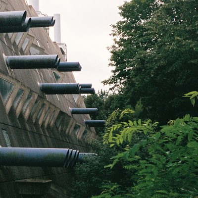 mus000483704.jpg