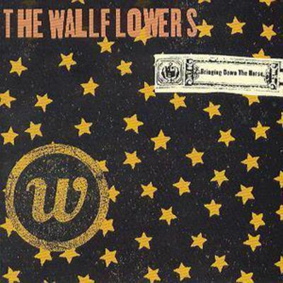 The Wallflowers - Bringing Down the Horse CD Album - Used