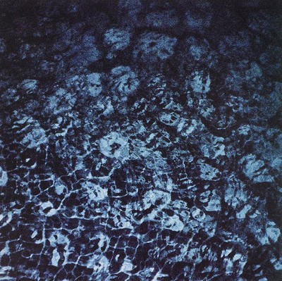 mus000539479.jpg
