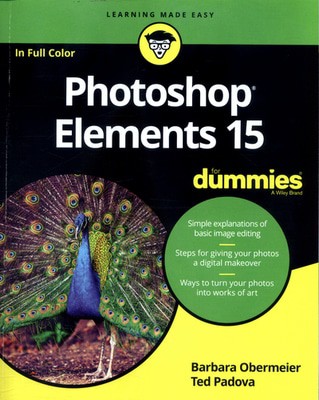 9781119281498.jpg