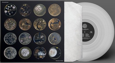 mus000538602.jpg