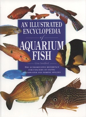 9781845733391.jpg