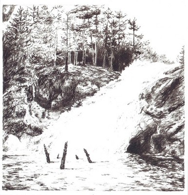 mus000543085.jpg